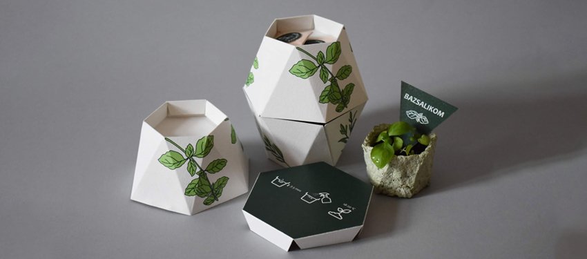 sustainable packaging box