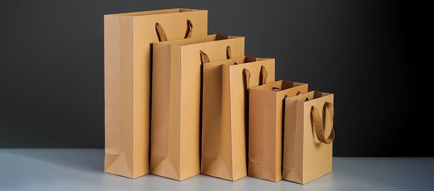 takeout paper bag sizes