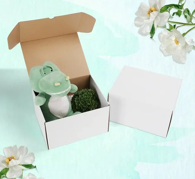 Custom White Shipping Boxes